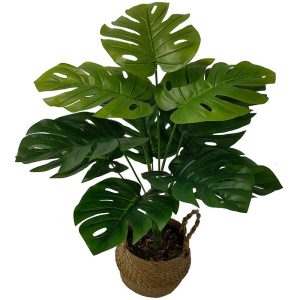 Galho costela de adão artificial 55cm