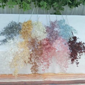 1 Galho de 8 Ramos Flores secas Rime Rosegrass - RS743