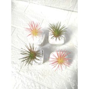 MINI Suculenta avulsa / solta artificial pequena FR-252
