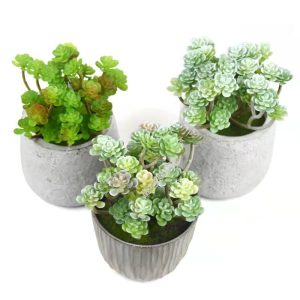 Mini suculenta artificial FR-258