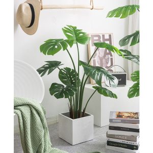 KIT com 8 unidades - Costela de adão artificial A-3