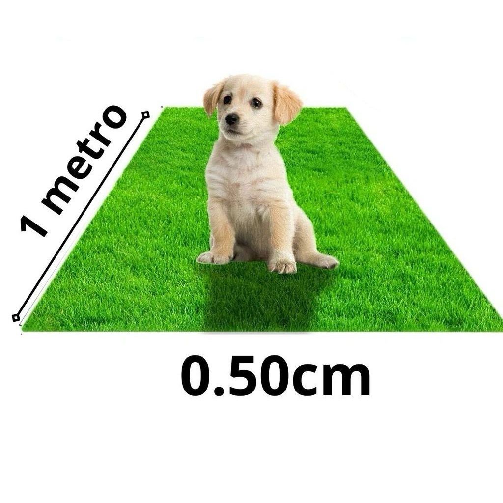 Tapete de Grama Sintética 10mm - 1,00x0,50  ( 0.5m² ) Para Decoração Jardim Campo de futebol - FL10081