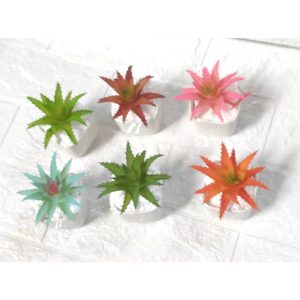 suculentas artificiais para decoração /pequena FR-224