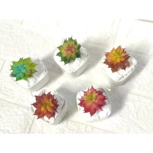1 suculentas artificiais para decoração /pequena FR-236