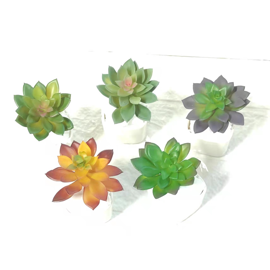 Suculentas Artificial FR-227